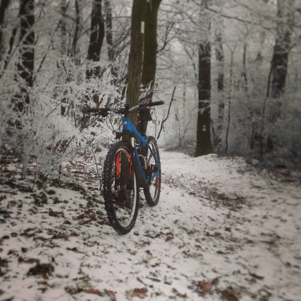 Téli bringás kép erdőben